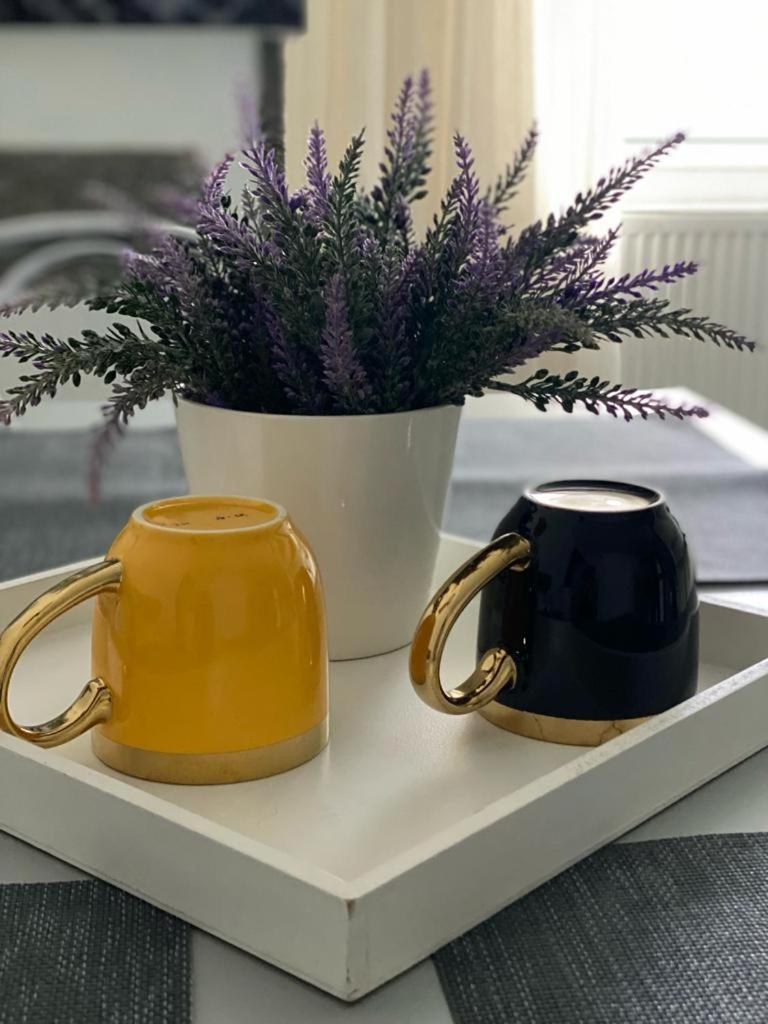 Apartament Doua Camere 바이아마레 외부 사진